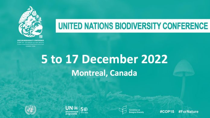 COP15 : The Biodiversity Commitment