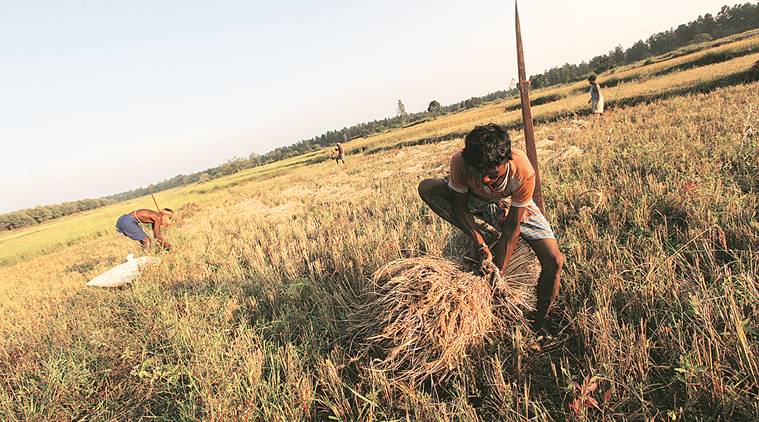 Agriculture needs long-term action beyond financial support packages
