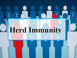 What is herd immunity?