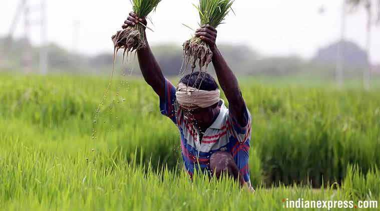 KALIA: how Odisha new scheme supports farm community with payments