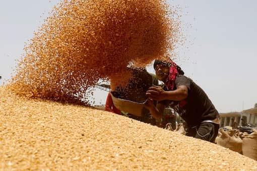 A welcome move: On the free grains scheme under food security law