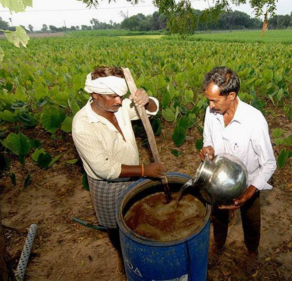 जीरो बजट नेचुरल फार्मिंग के बारे में सच्चाई