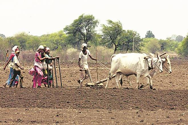 भारत में अब पारंपरिक खेती का अभ्यास संभव नहीं