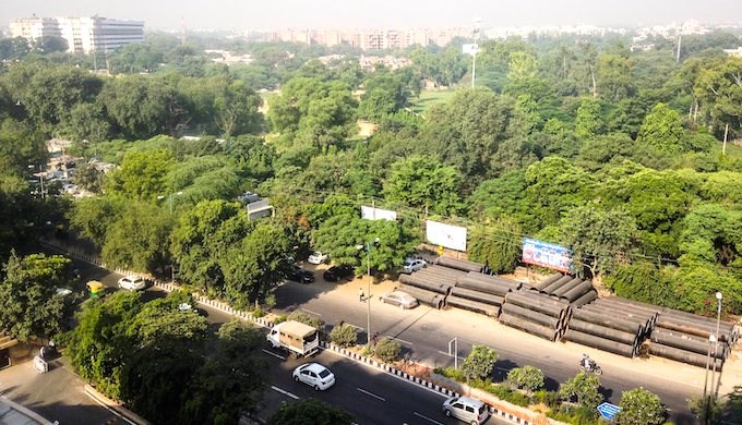 शहर के जंगल सुरक्षित कर सकते हैं दिल्ली का भविष्य