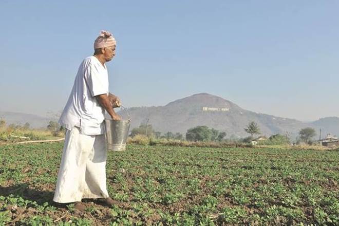 कृषि सुधारः क्यों पूर्वी भारत को हरित क्रांति की आवश्यकता है?