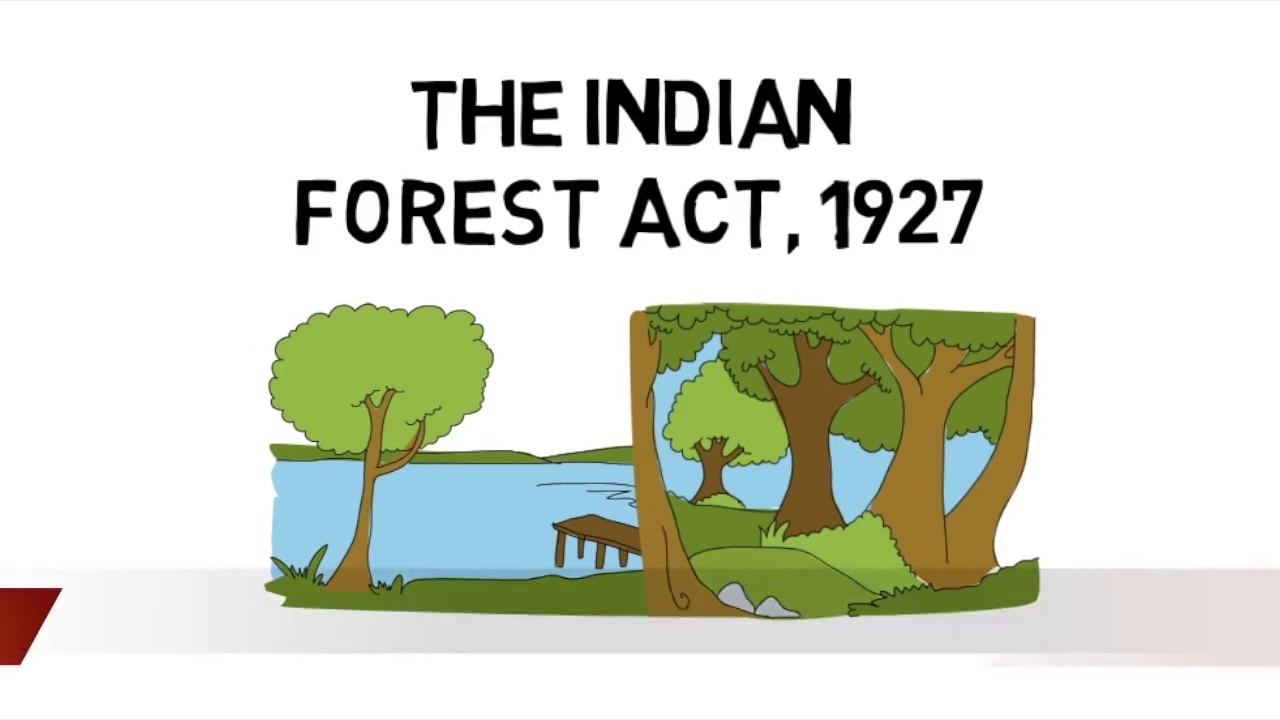 कानून को मानवीय बनाना: भारतीय वन अधिनियम का मसौदा
